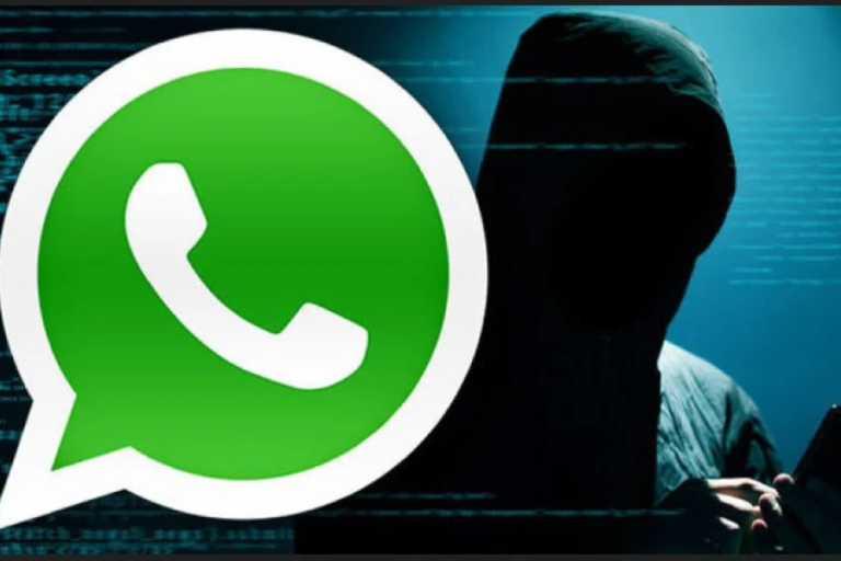 whatsapp logicalshout